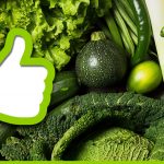 JMG Legumes Verts