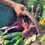 Fruits & Légumes Terroirs