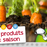 JMG PRODUITS DE SAISON Carotte Primeur
